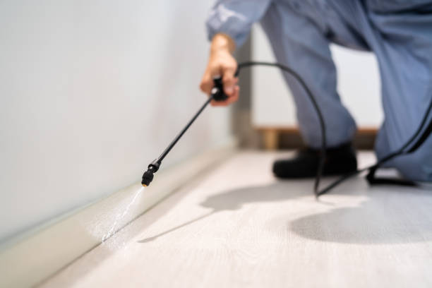 Licensed Fumigation Services service in Angola, NY - Nex Pest Control
