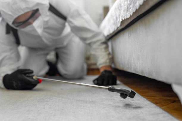 Professional Fumigation Services technician working in Angola, NY